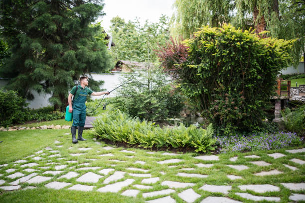 Best Pest Removal Services  in Wagon Wheel, AZ