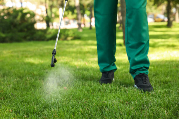 Best Wildlife Control Services  in Wagon Wheel, AZ