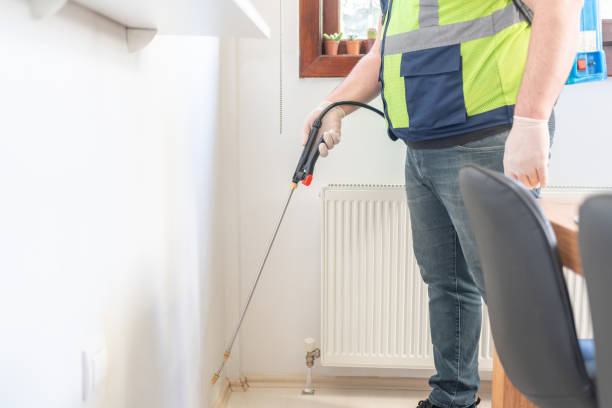 Best Pest Inspection Near Me  in Wagon Wheel, AZ