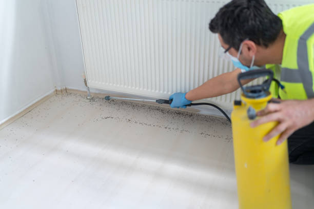 Best Bed Bug Extermination  in Wagon Wheel, AZ