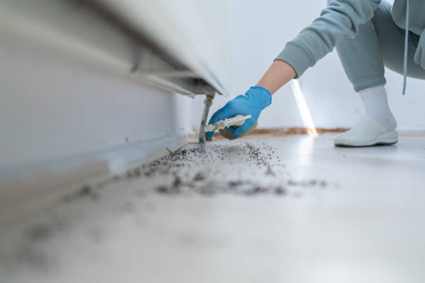 Wagon Wheel, AZ Pest Control Company